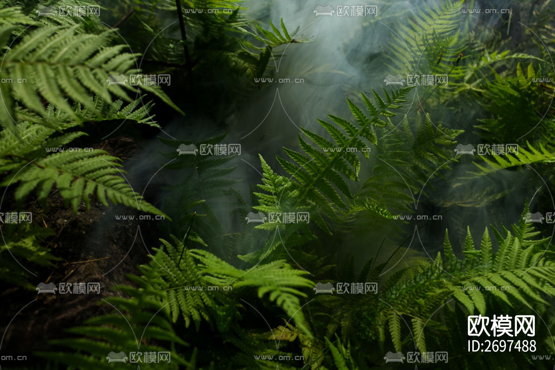 植物贴图