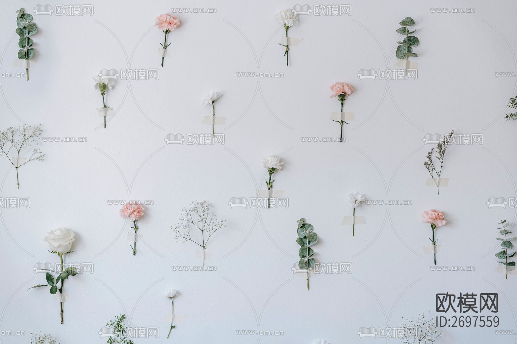 植物贴图 墙纸下载