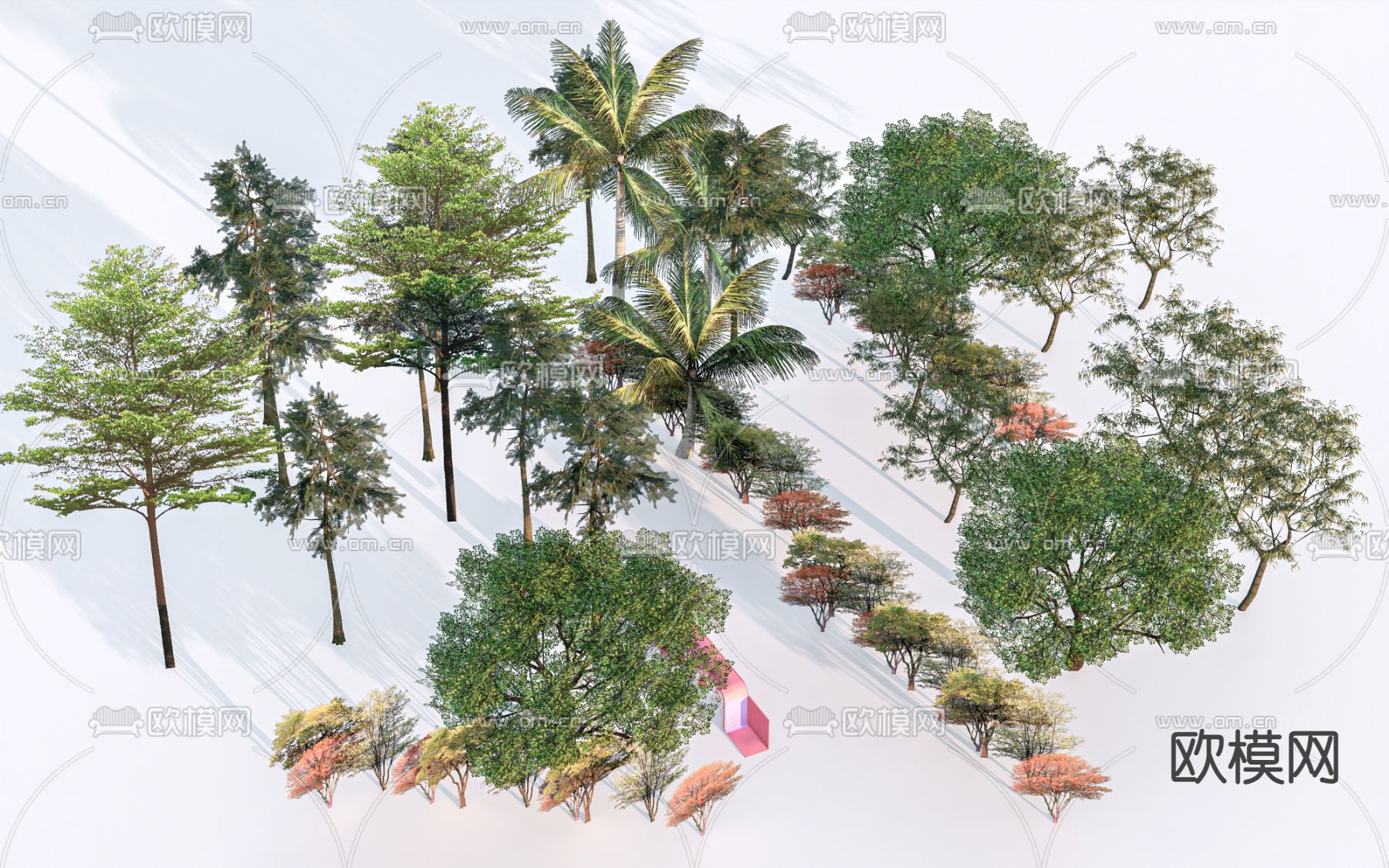 景观树 乔木 行道树su模型下载（渲染图1）