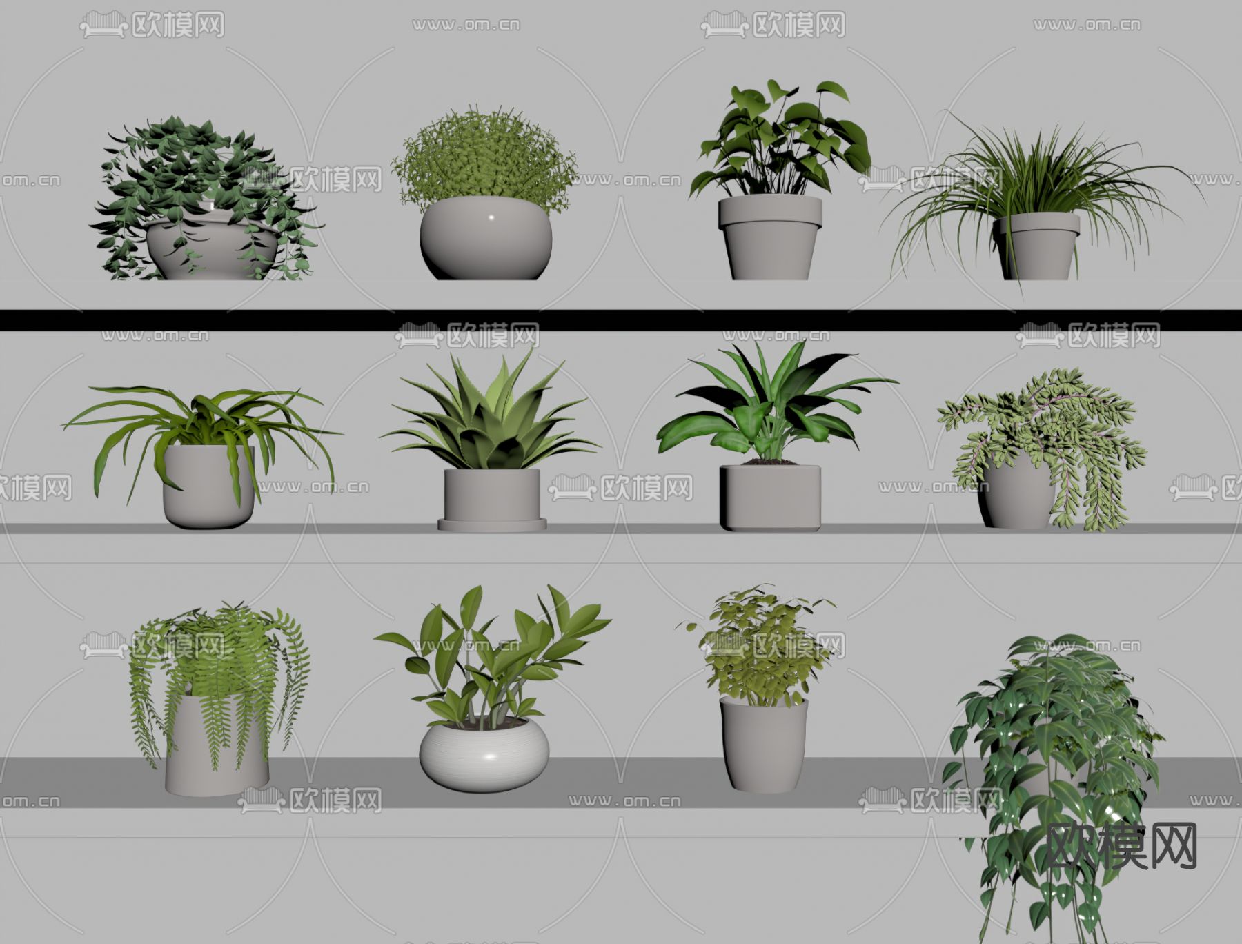 现代植物盆栽su模型下载（渲染图2）