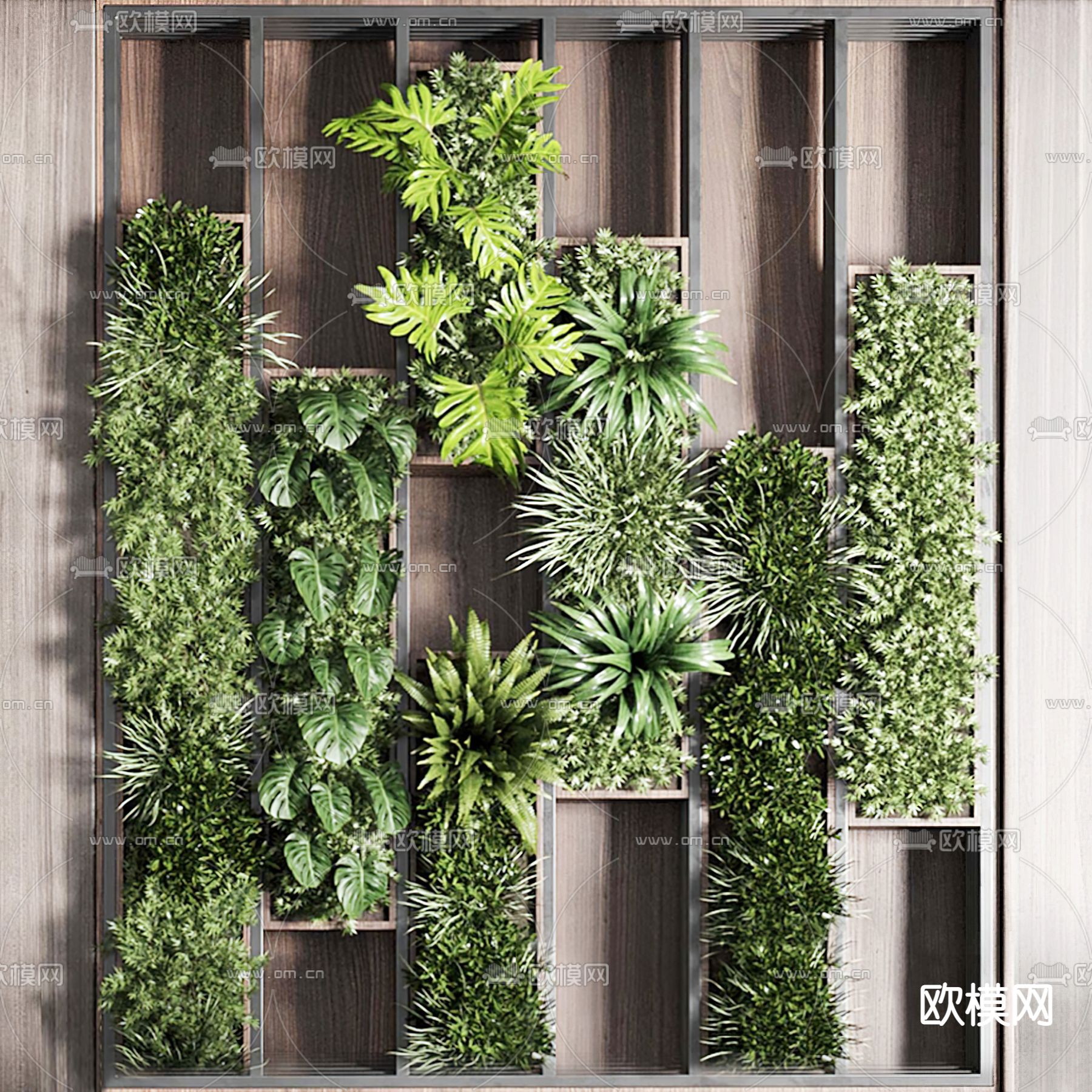 植物墙su模型下载（渲染图1）