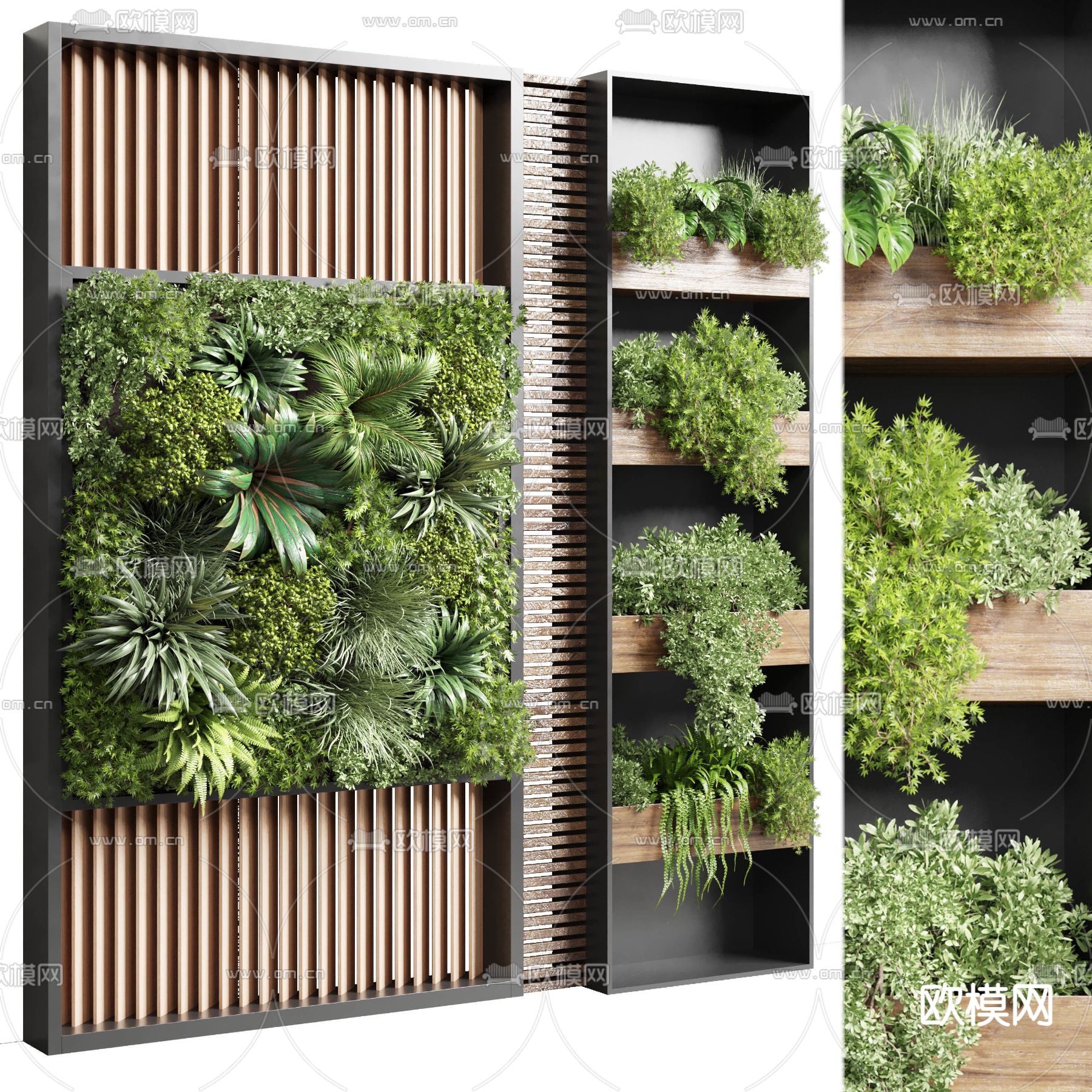 室内立体绿化植物-墙面绿化|垂直绿化|高架桥绿化|立体绿化|桥梁绿化|武汉市安友科技有限公司