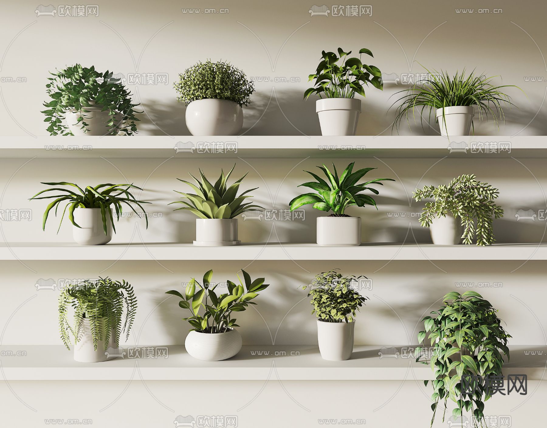 现代植物盆栽su模型下载（渲染图1）