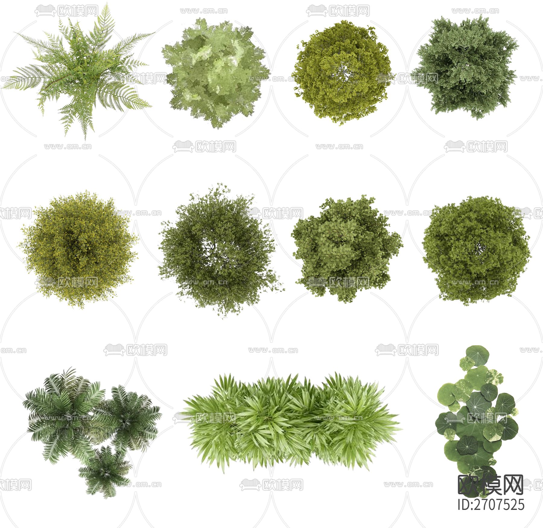 植物贴图-免费3dmax模型库-欧模网