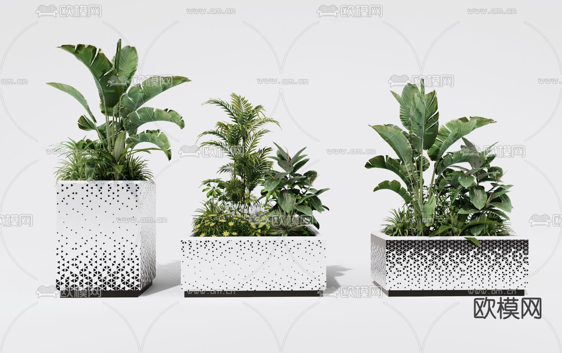 现代花草花箱su模型下载（渲染图1）