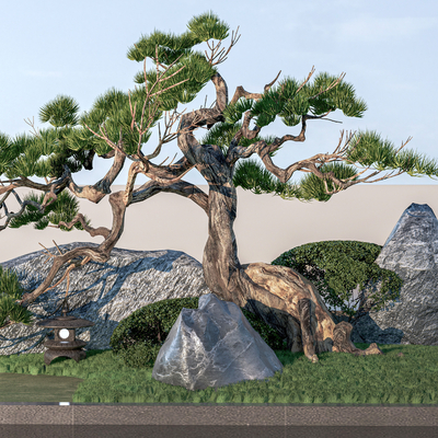  松树造景 植物堆su模型 