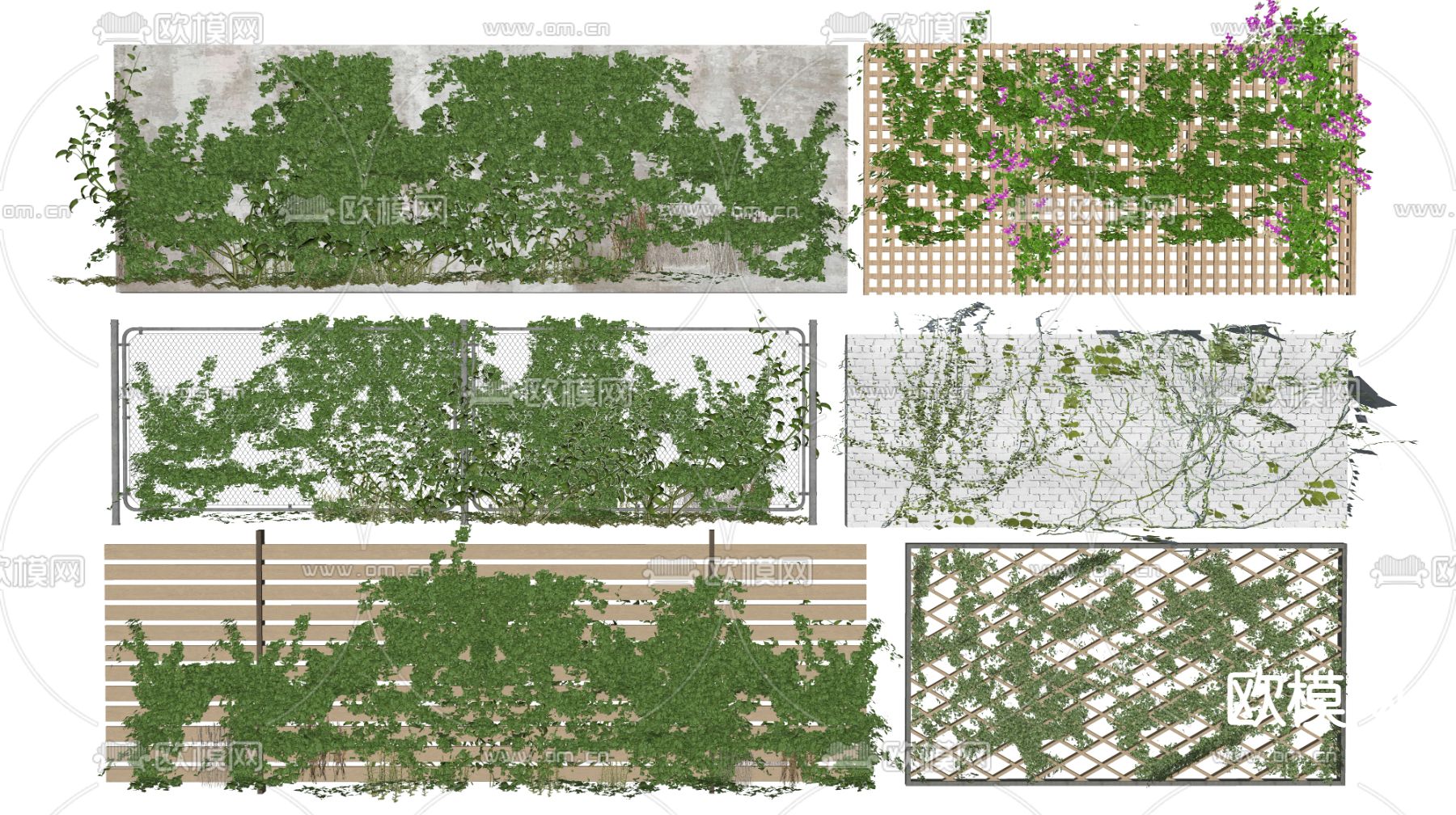 现代植物墙 藤蔓su模型下载（渲染图2）
