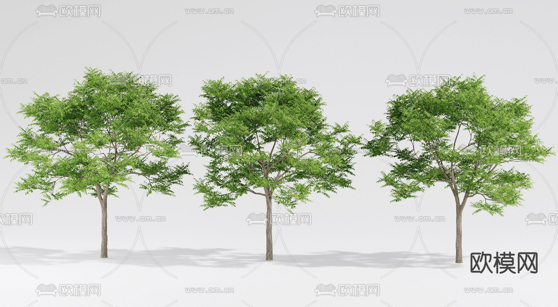 大树 景观树3d模型下载_ID14149280_3dmax免费模型-欧模网