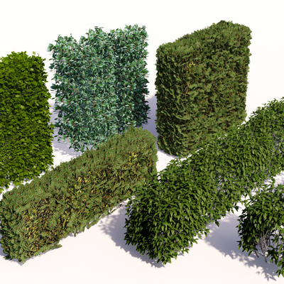  灌木绿篱su模型 