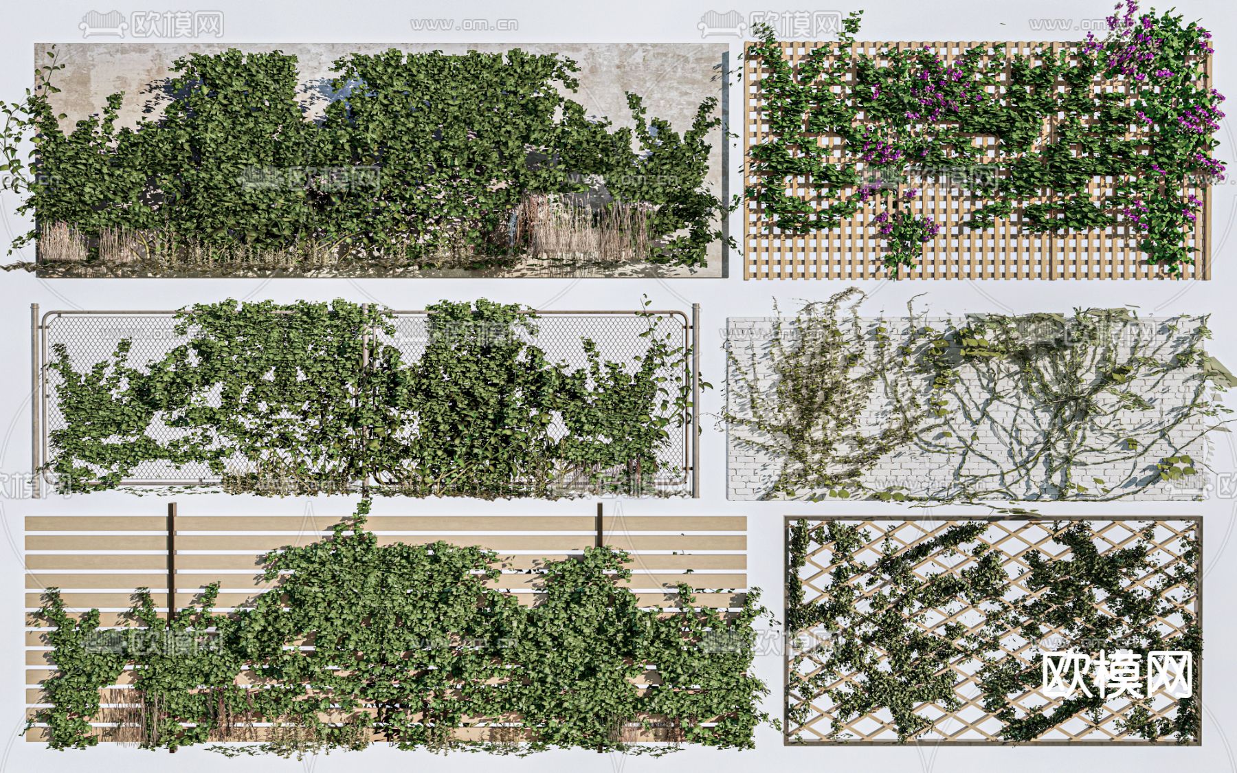 现代植物墙 藤蔓su模型下载（渲染图1）