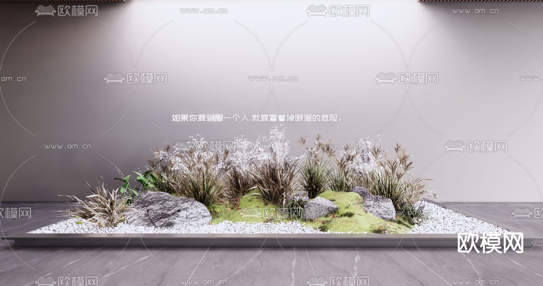 现代花草 芒草su模型下载（渲染图1）