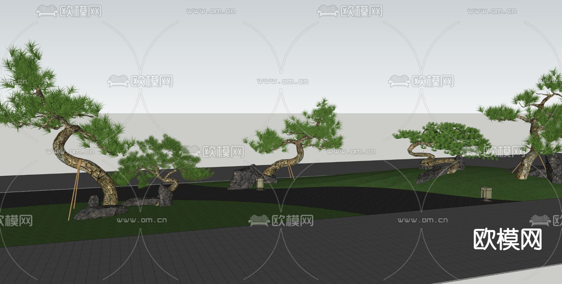 中式乔木松树 油松 黑松su模型下载（渲染图2）