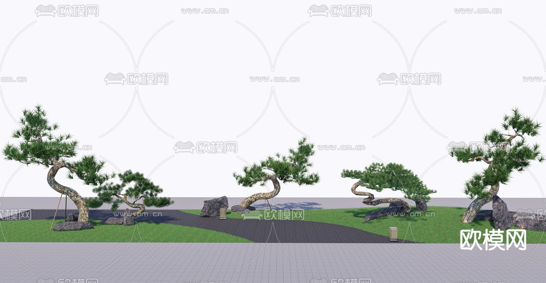 中式乔木松树 油松 黑松su模型下载（渲染图1）