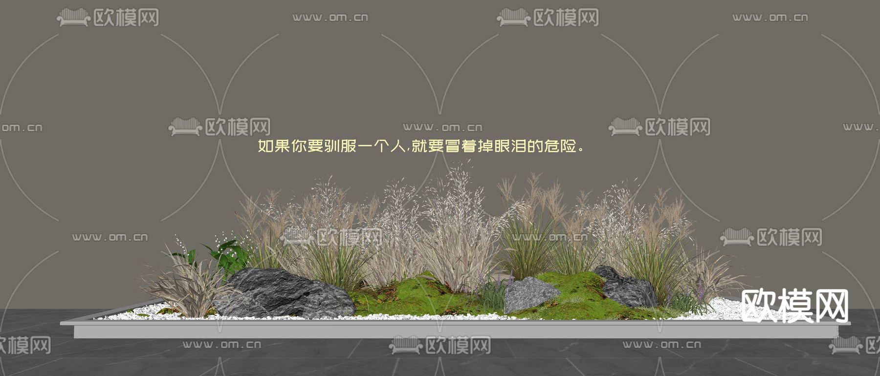 现代花草 芒草su模型下载（渲染图2）