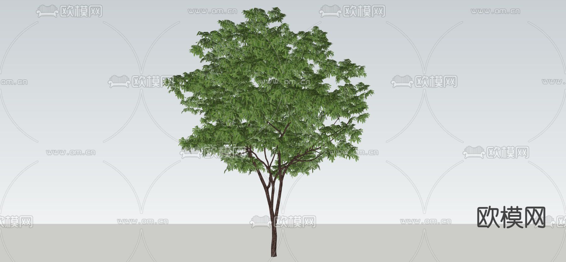 景观树 树木 大树su模型