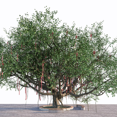  许愿树 景观树 树木 大树su模型 
