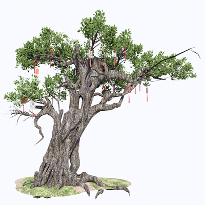  许愿树 景观树 树木 大树su模型 