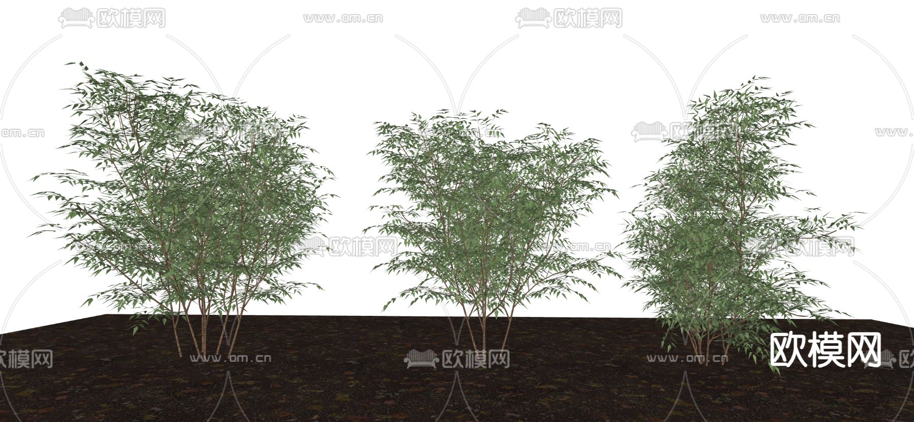 新中式竹林 竹子su模型