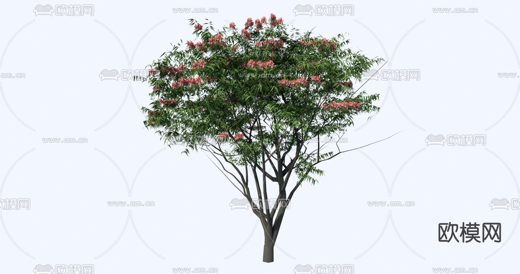 景观树 树木 大树su模型下载（渲染图1）