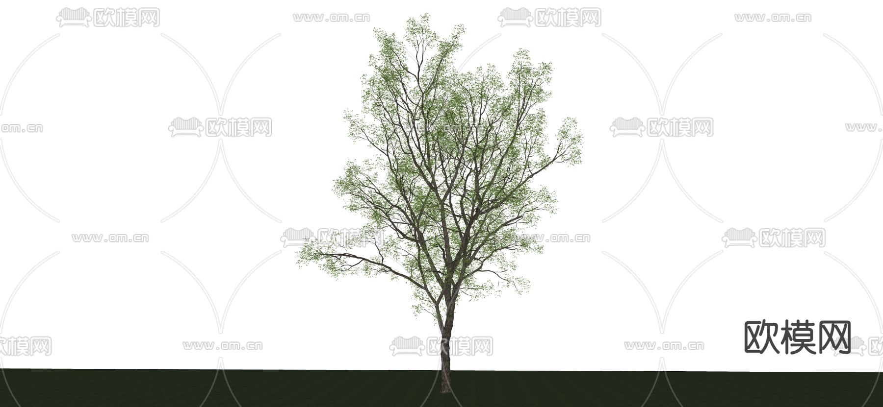 景观树 树木 大树su模型