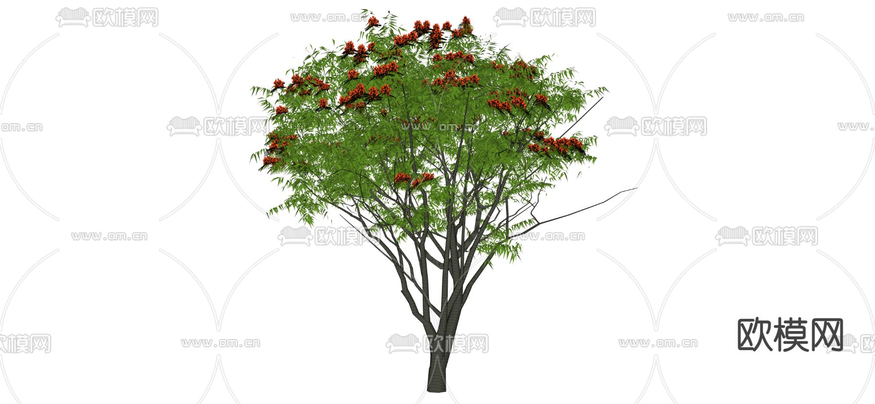 景观树 树木 大树su模型下载（渲染图2）