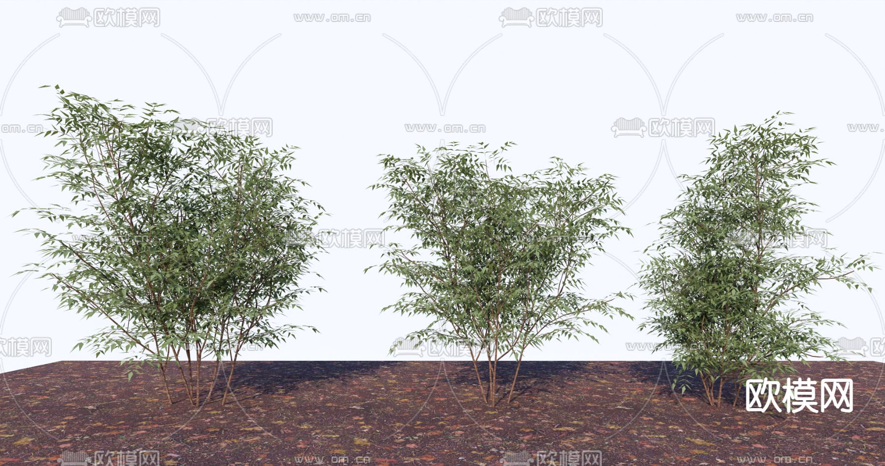 新中式竹林 竹子su模型