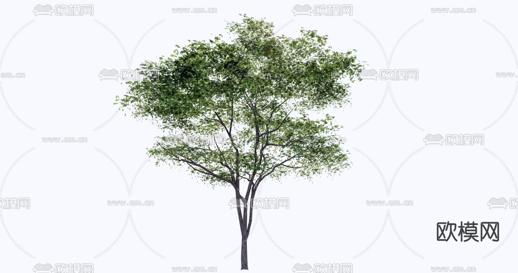 景观树 树木 大树su模型