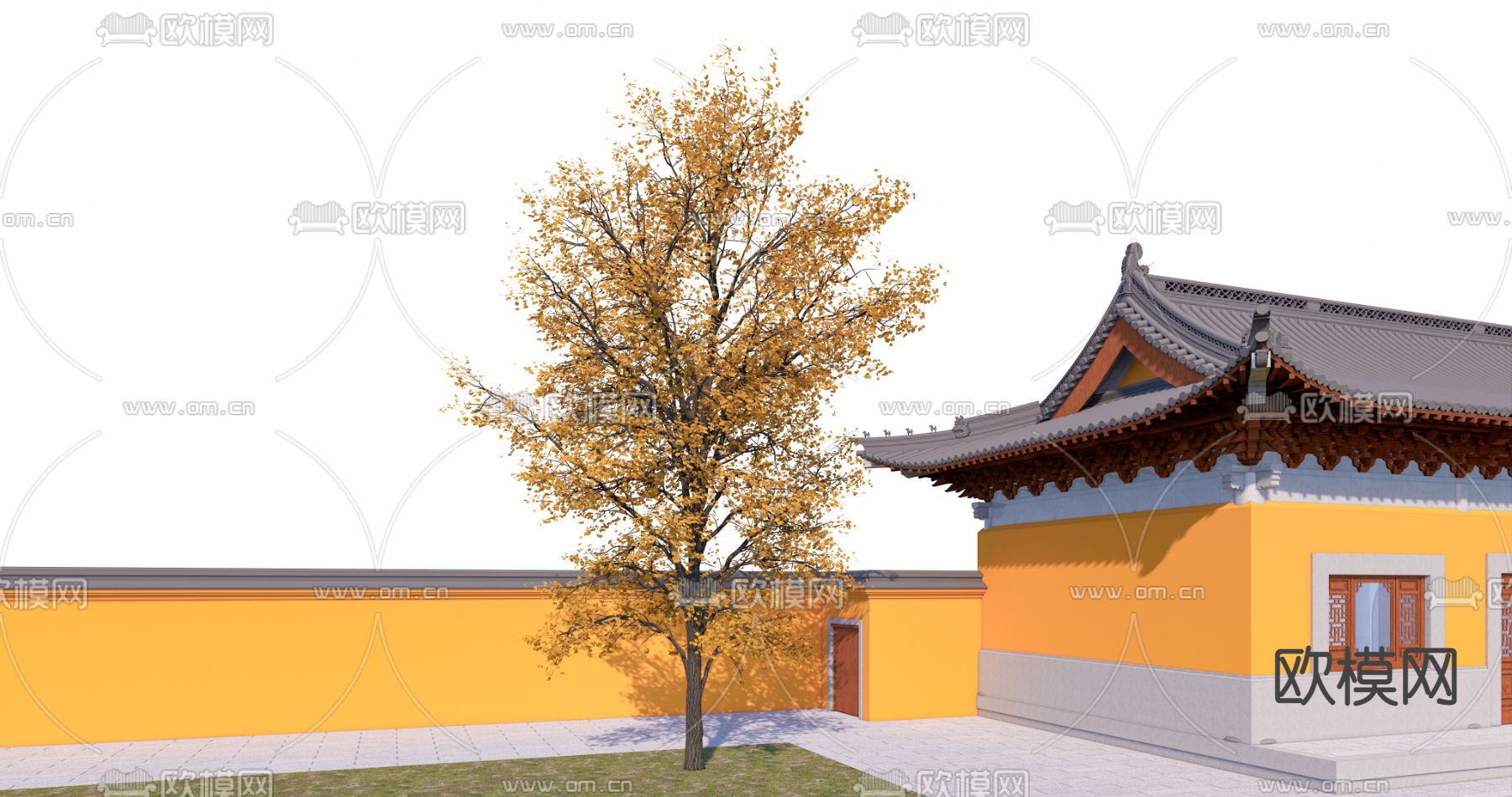 乔木银杏树su模型