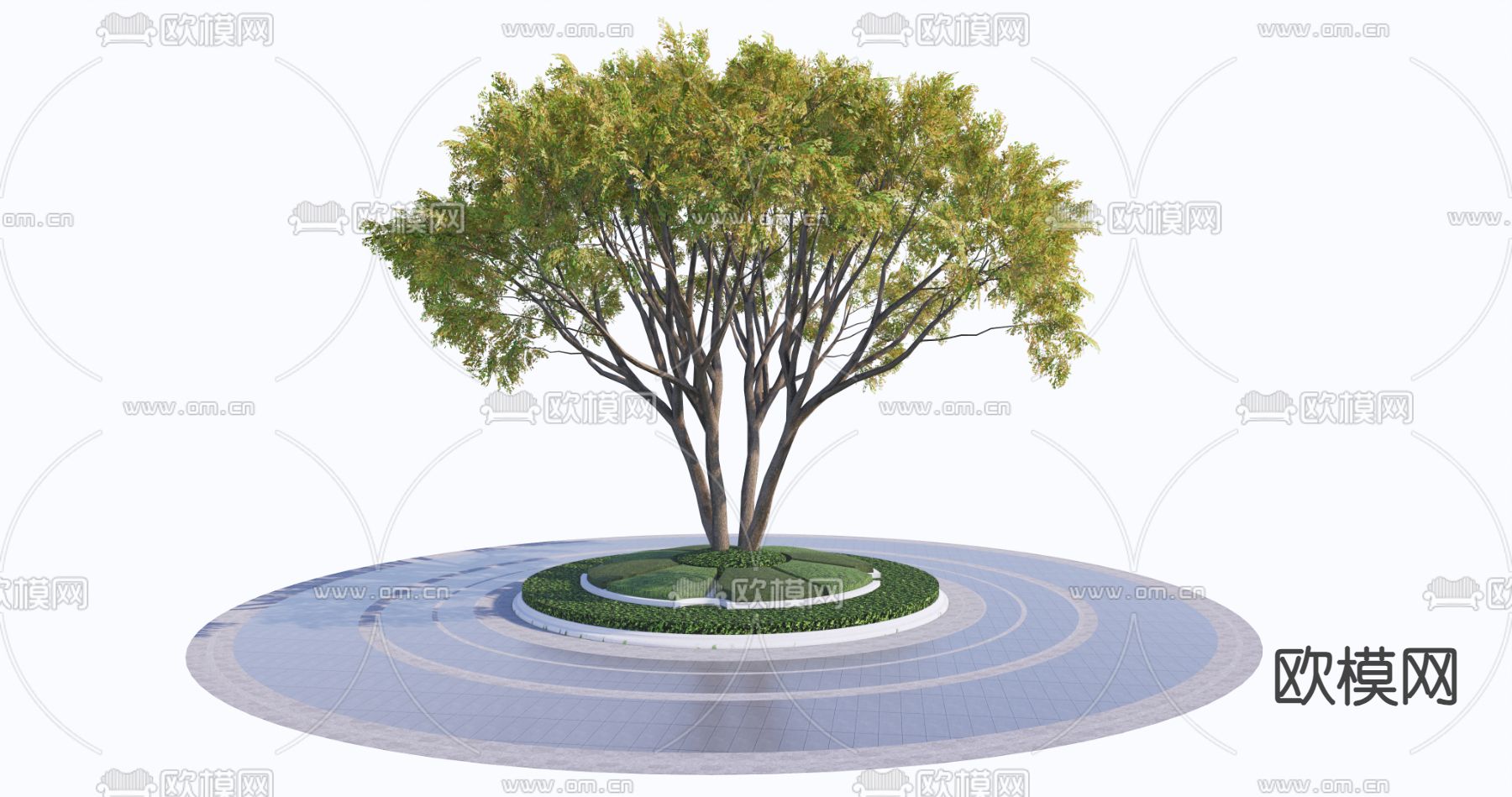 乔木 树池 景观树su模型下载（渲染图1）