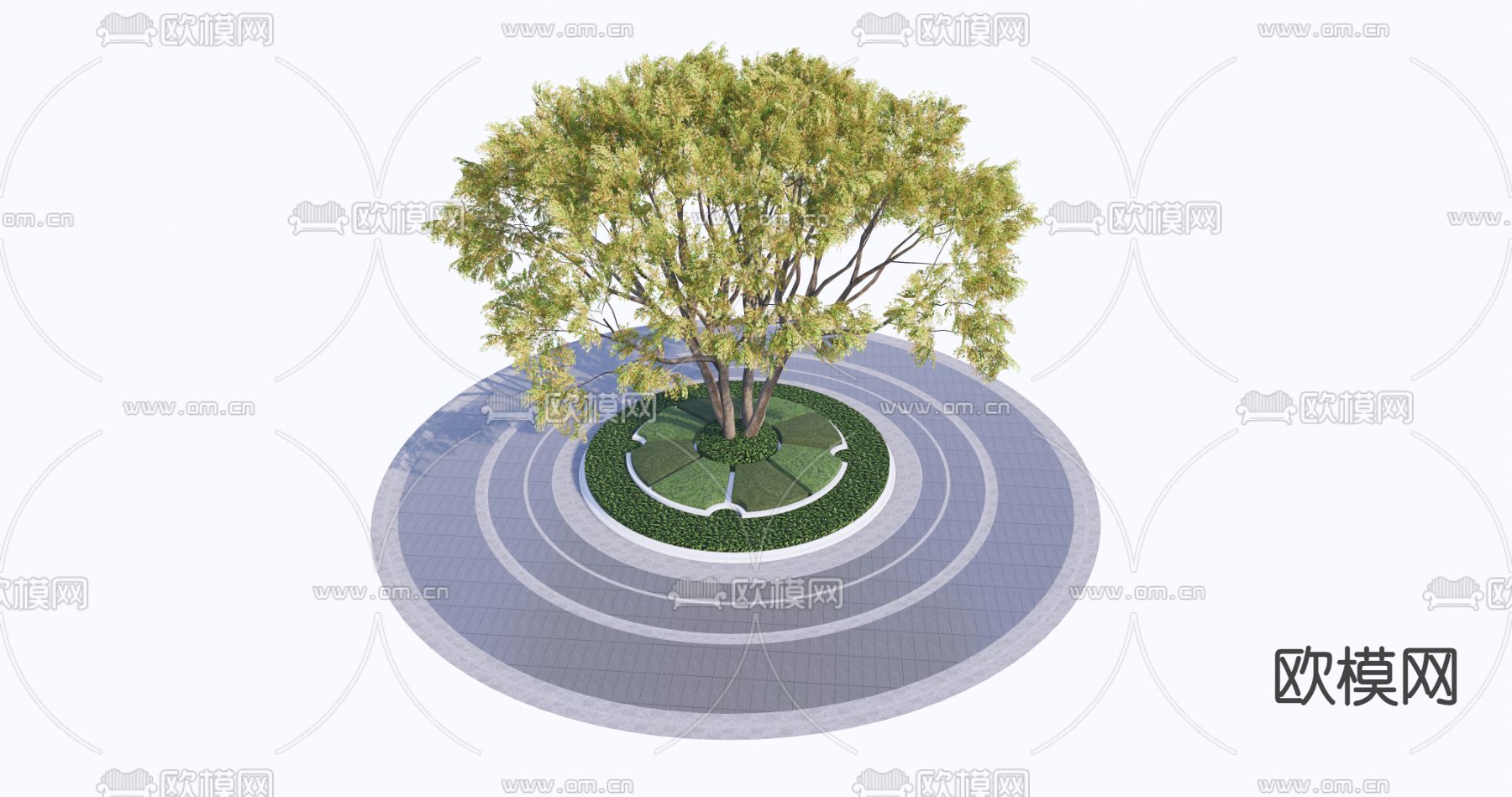 乔木 树池 景观树su模型下载（渲染图2）