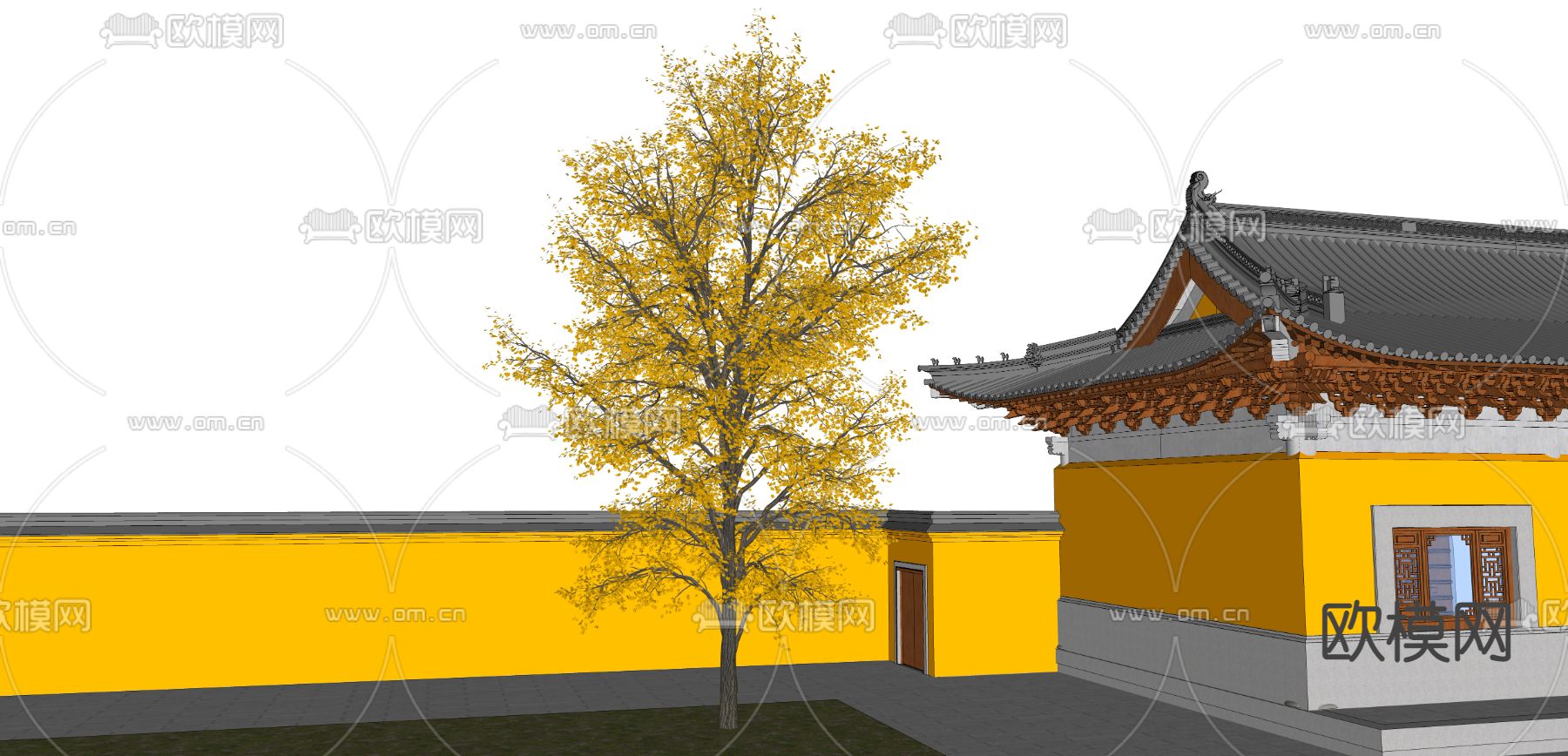 乔木银杏树su模型