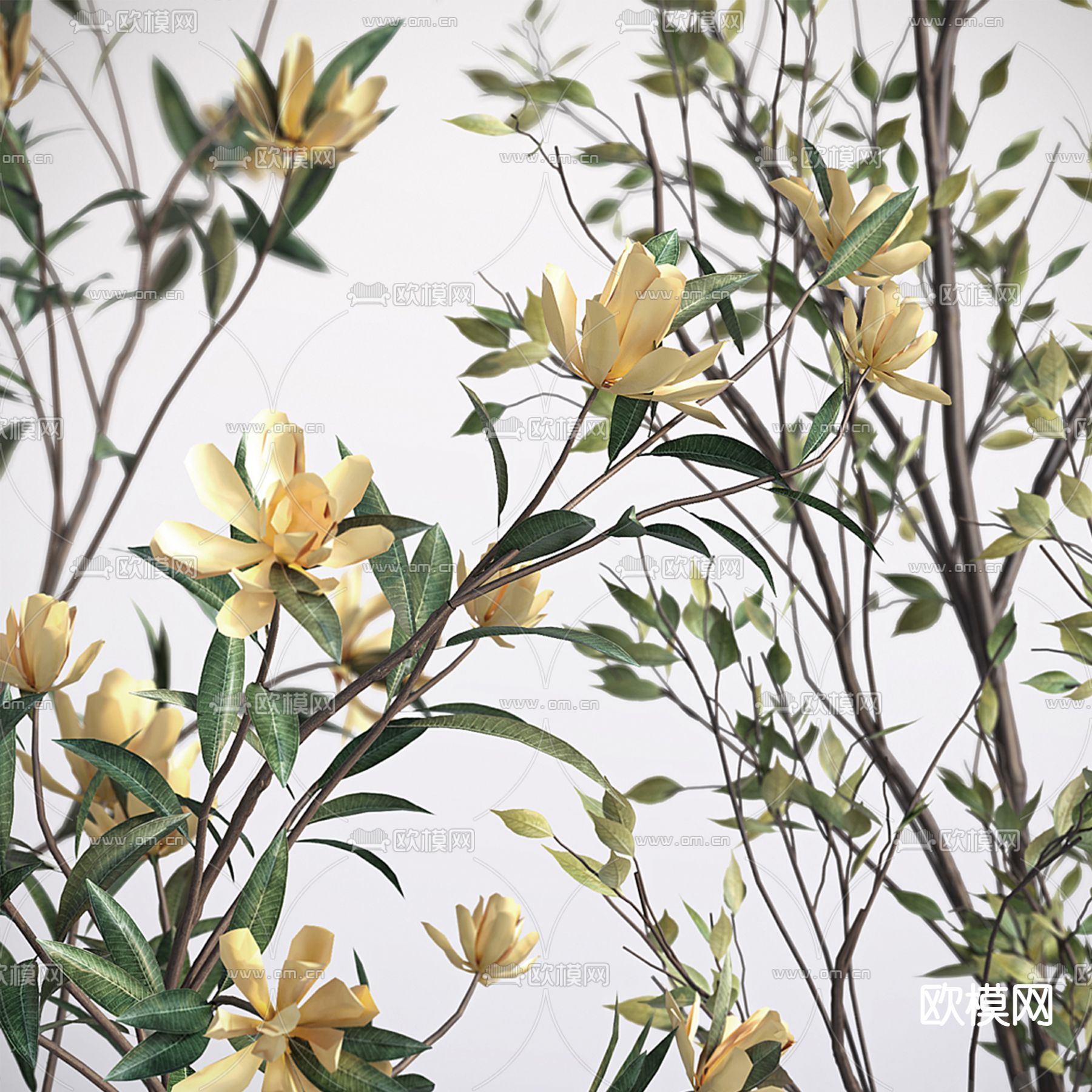 水培绿植 花瓶干支3d模型下载（渲染图3）