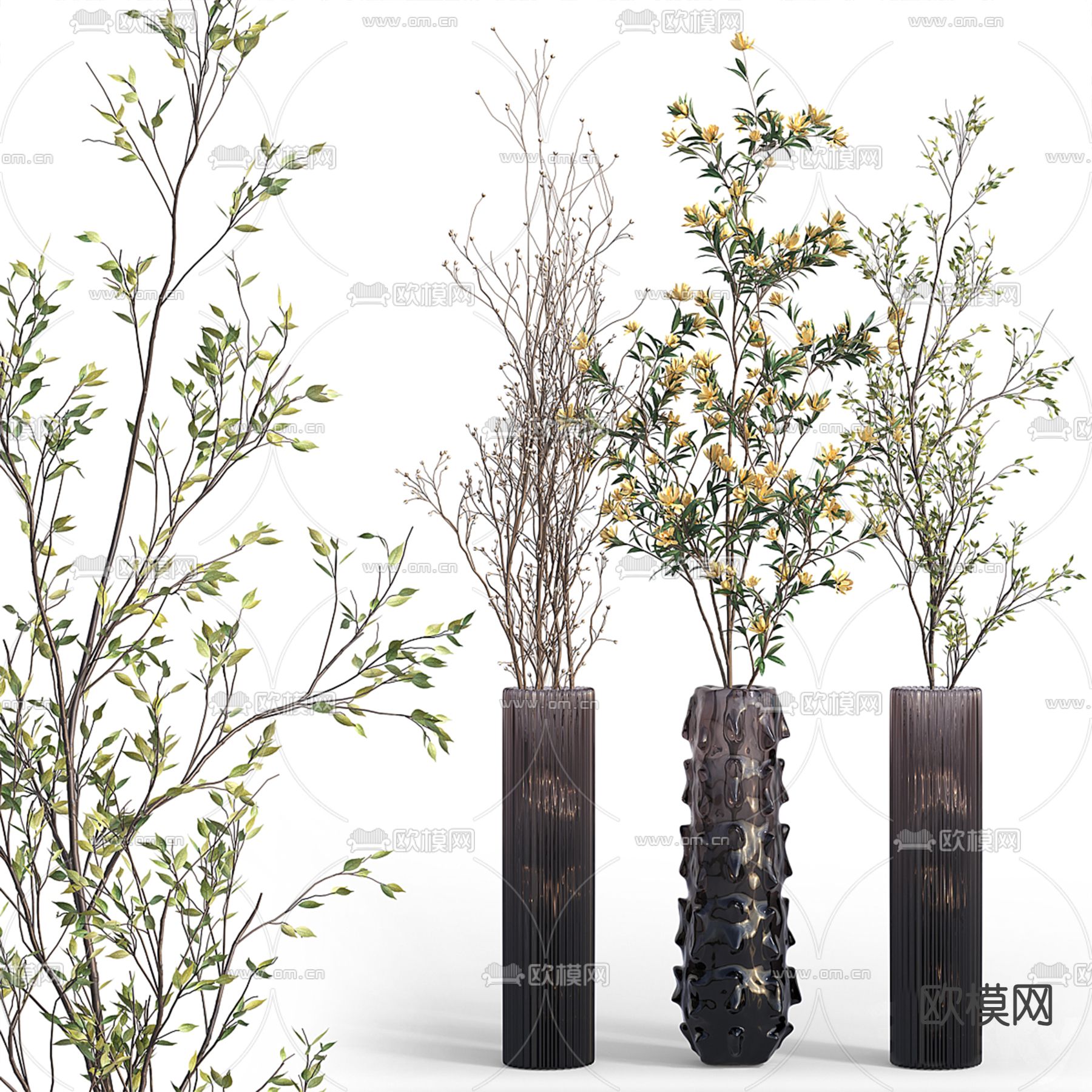 水培绿植 花瓶干支3d模型下载（渲染图1）