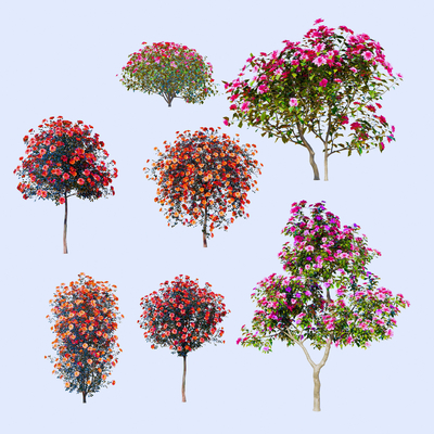  月季花 山茶花灌木su模型 