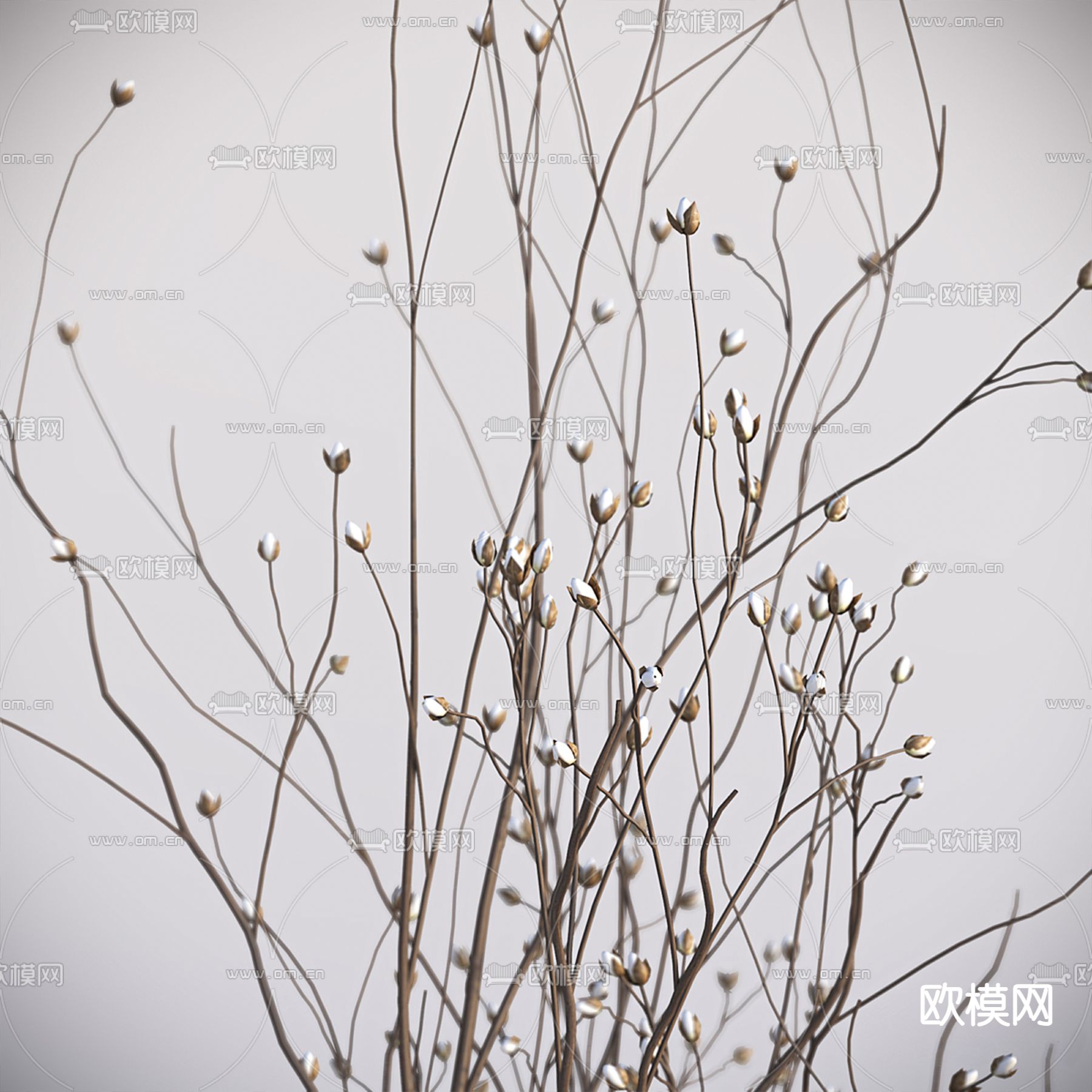 水培绿植 花瓶干支3d模型下载（渲染图4）