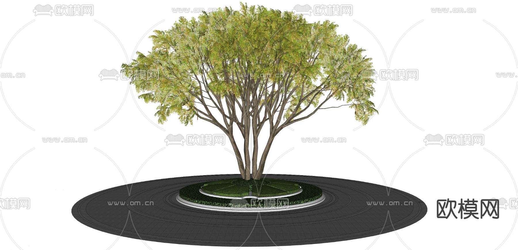 乔木 树池 景观树su模型下载（渲染图3）