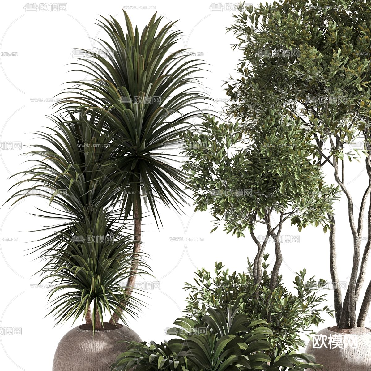 盆栽 盆景3d模型下载（渲染图2）