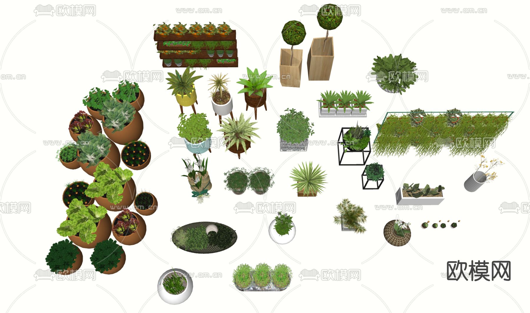 绿植盆栽su模型下载（渲染图2）
