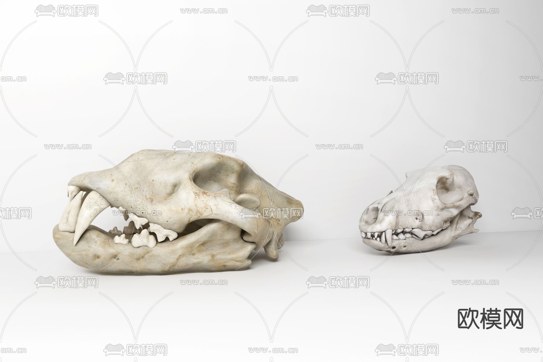 桌面摆件 化石3d模型下载