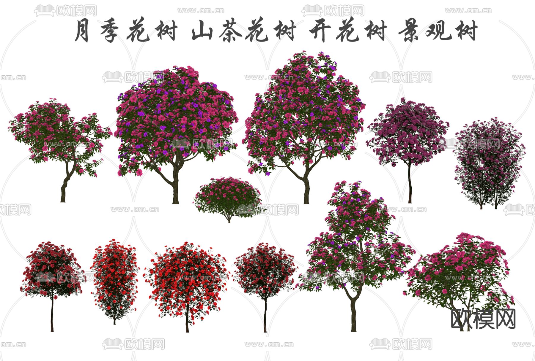 乔木 月季花 山茶花su模型