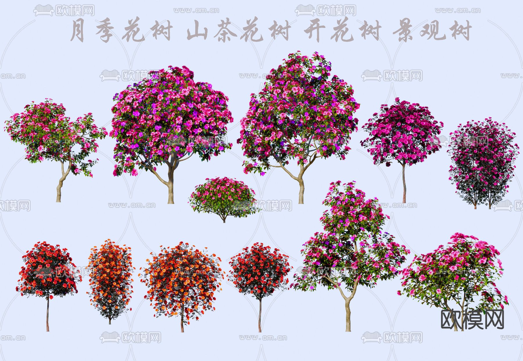 乔木 月季花 山茶花su模型