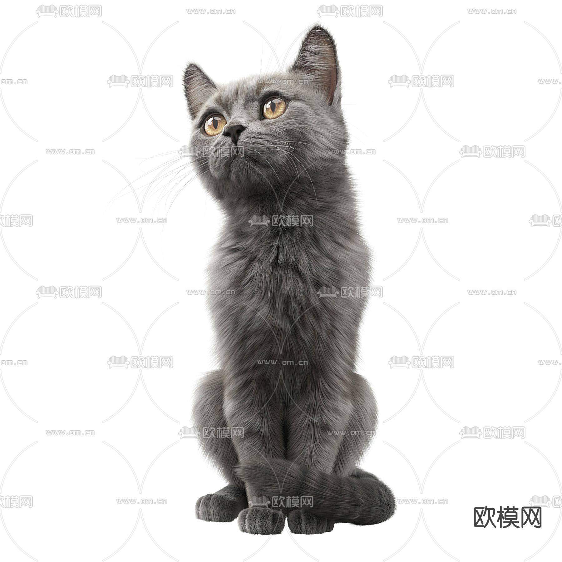 宠物猫su模型下载（渲染图1）