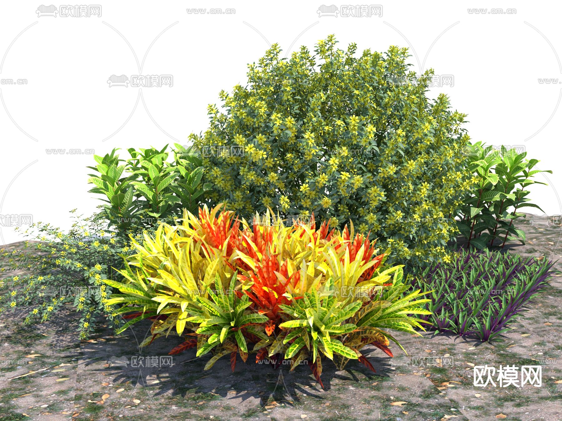 灌木丛 植物球 杂草3d模型下载