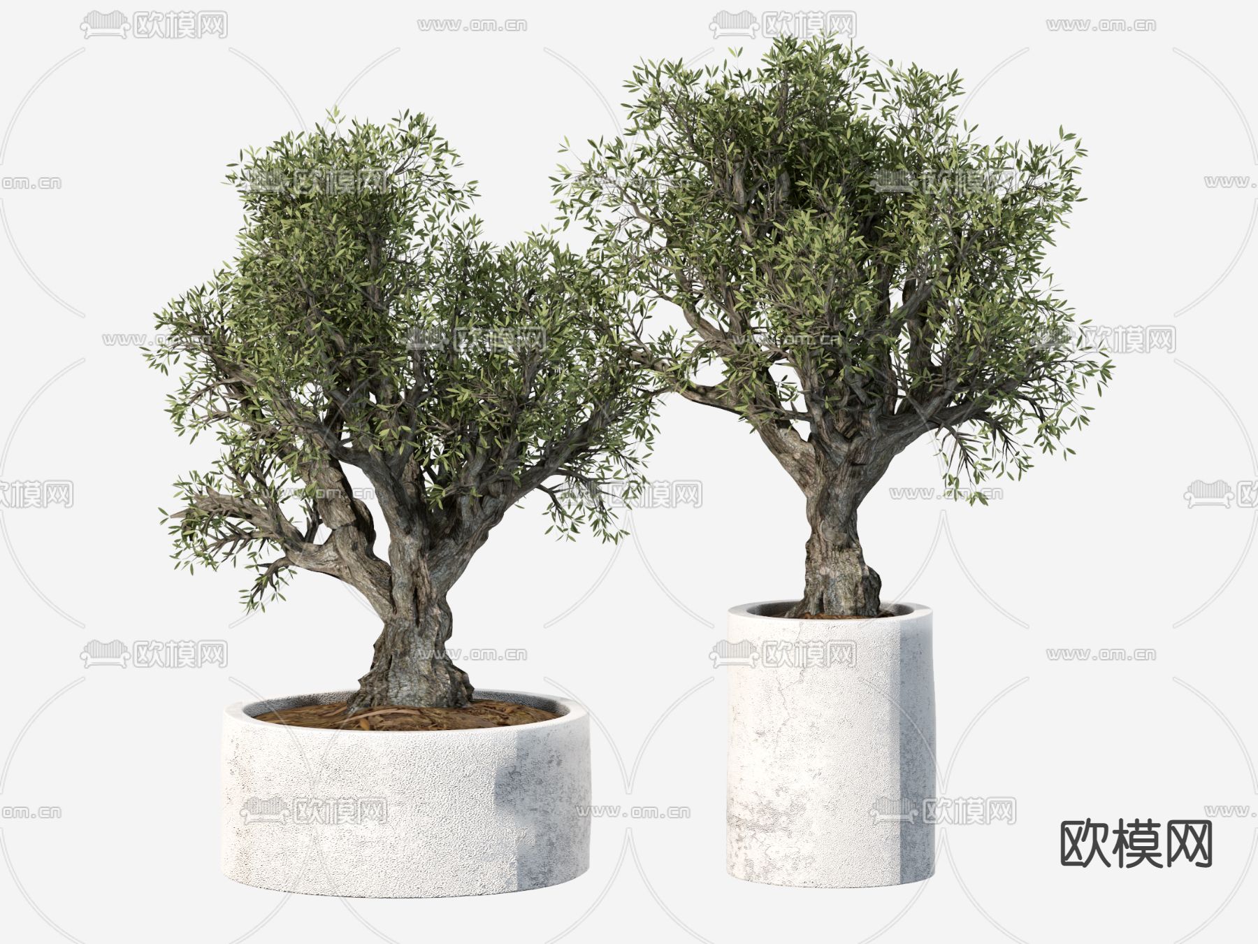 绿植盆栽su模型下载（渲染图1）