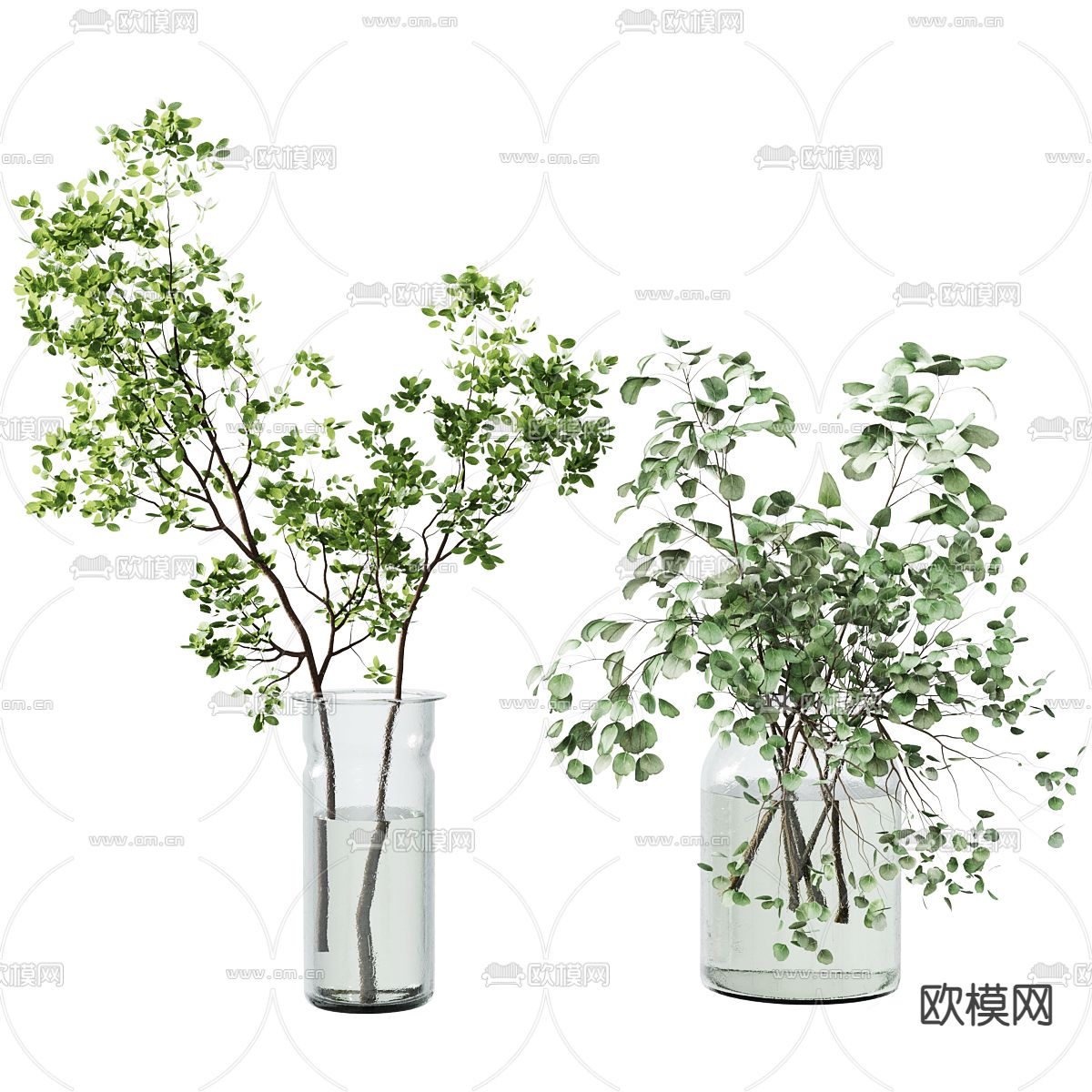 水培绿植 水生植物3d模型下载（渲染图3）