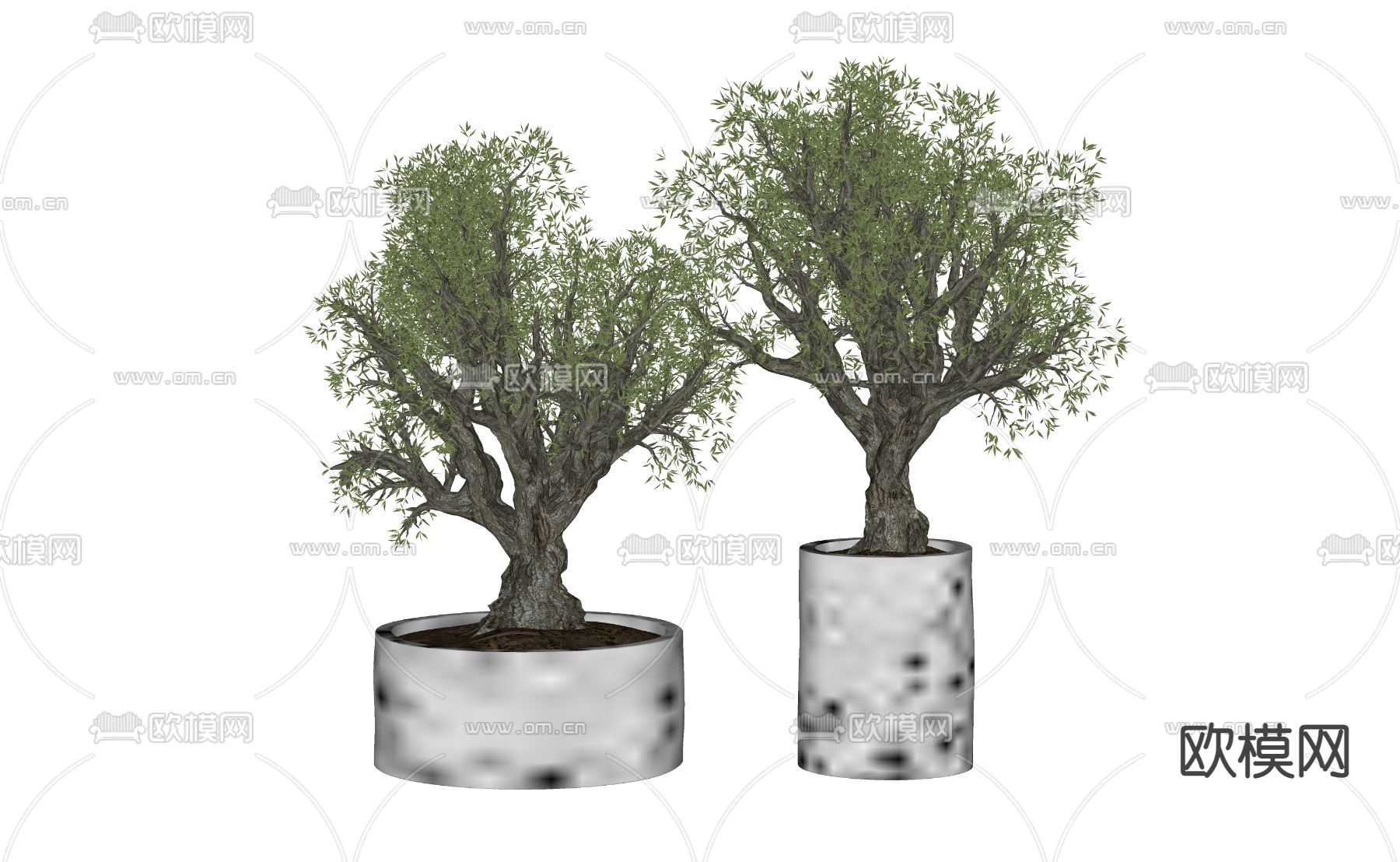 绿植盆栽su模型下载（渲染图2）