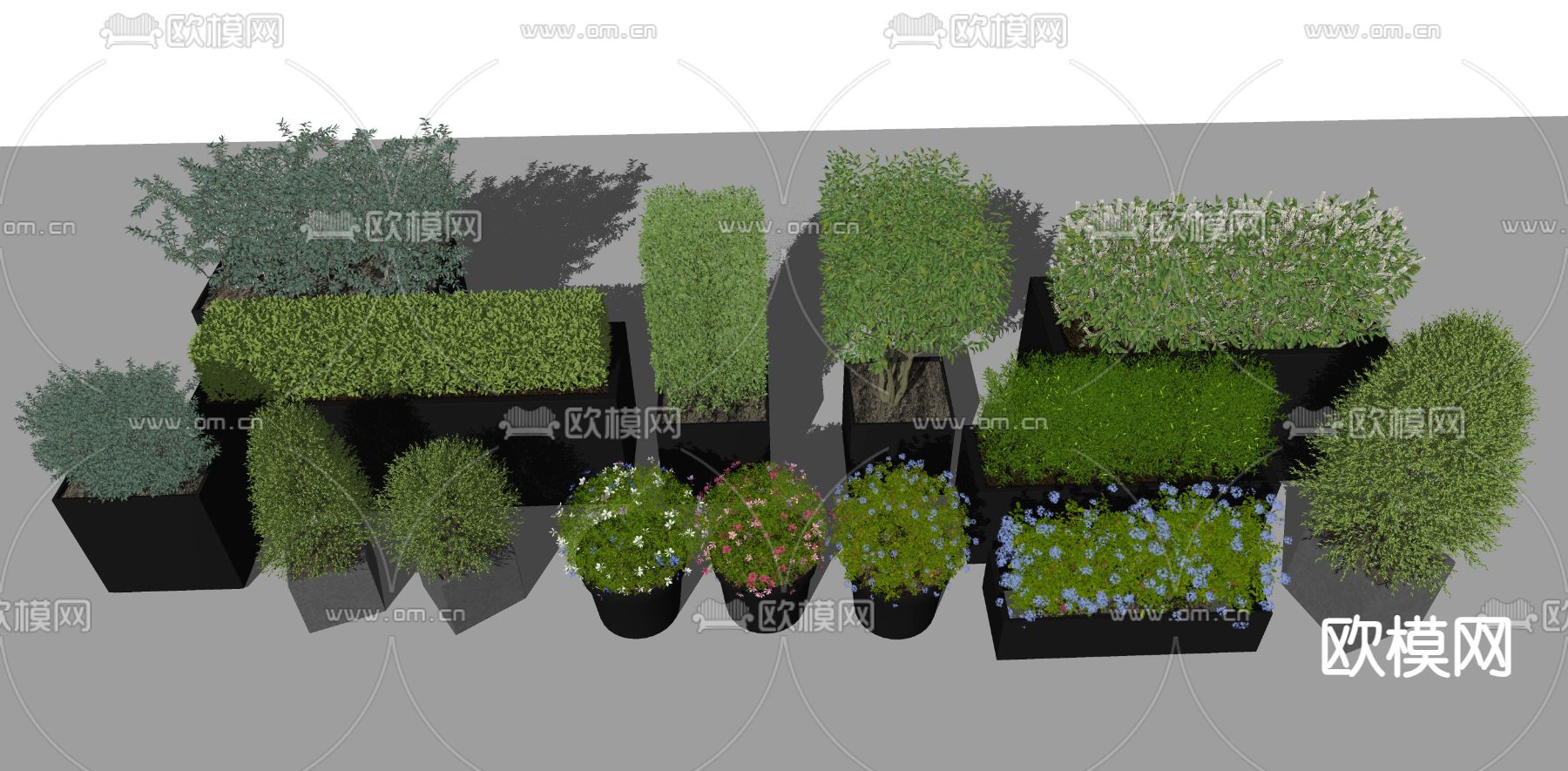 方形绿篱 植物花箱su模型下载（渲染图2）