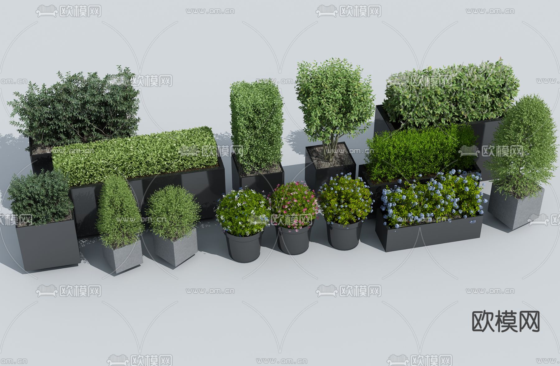 方形绿篱 植物花箱su模型下载（渲染图1）