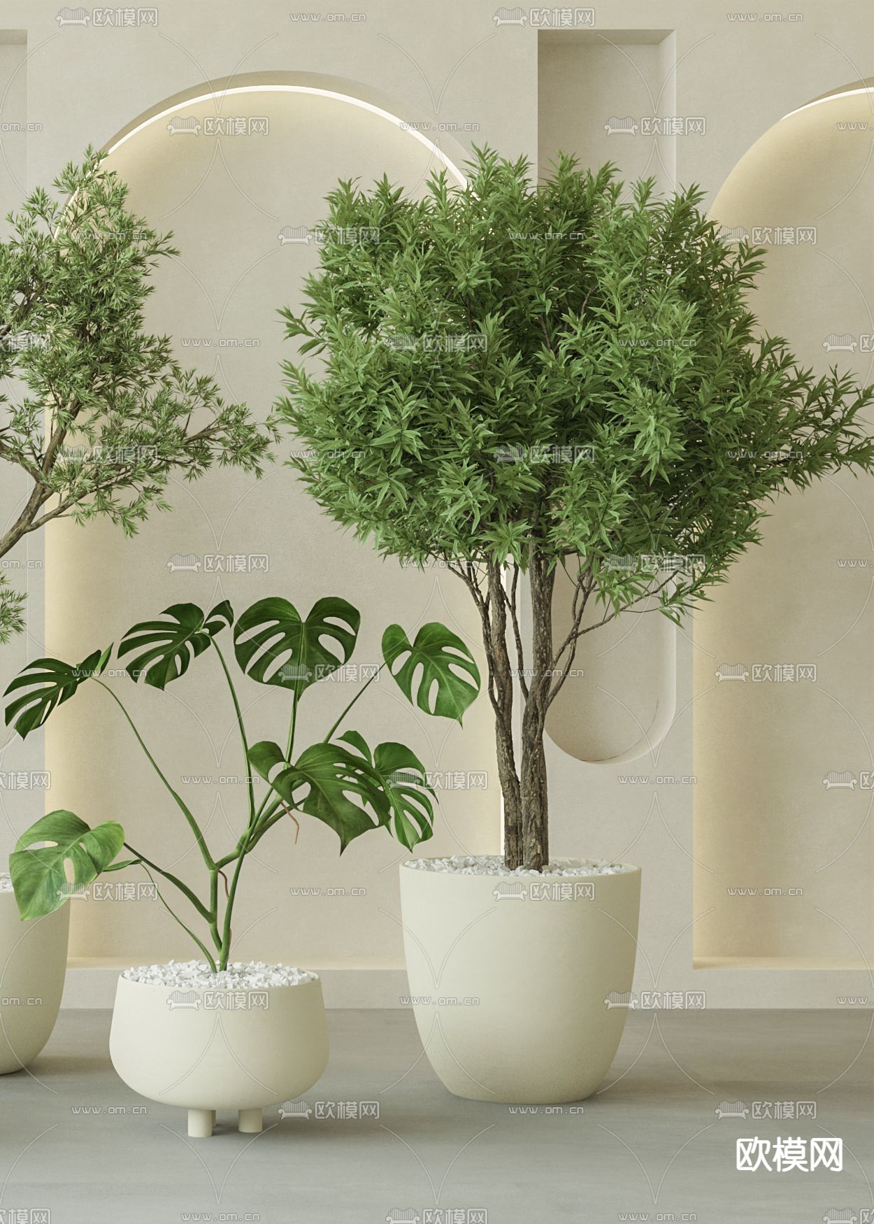 盆栽 盆景 仙人球 芭蕉叶3d模型下载（渲染图3）