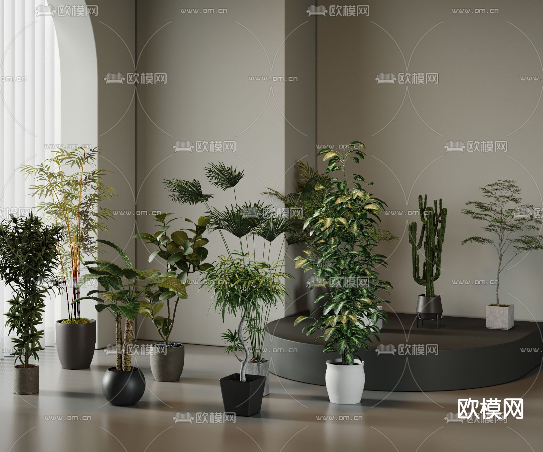 盆栽 盆景3d模型下载